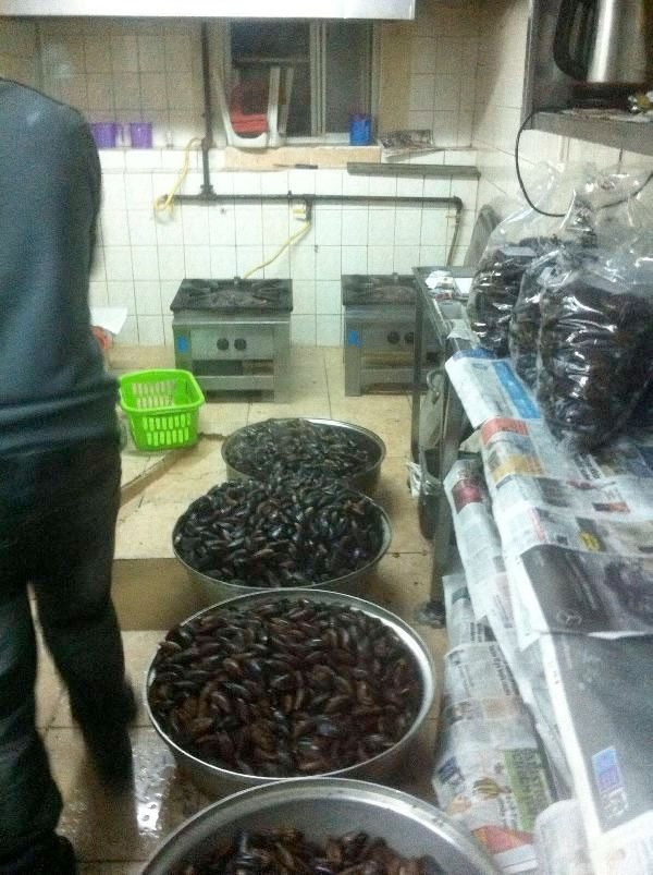 Midye dolma operasyonundan şok görüntüler - Resim: 3