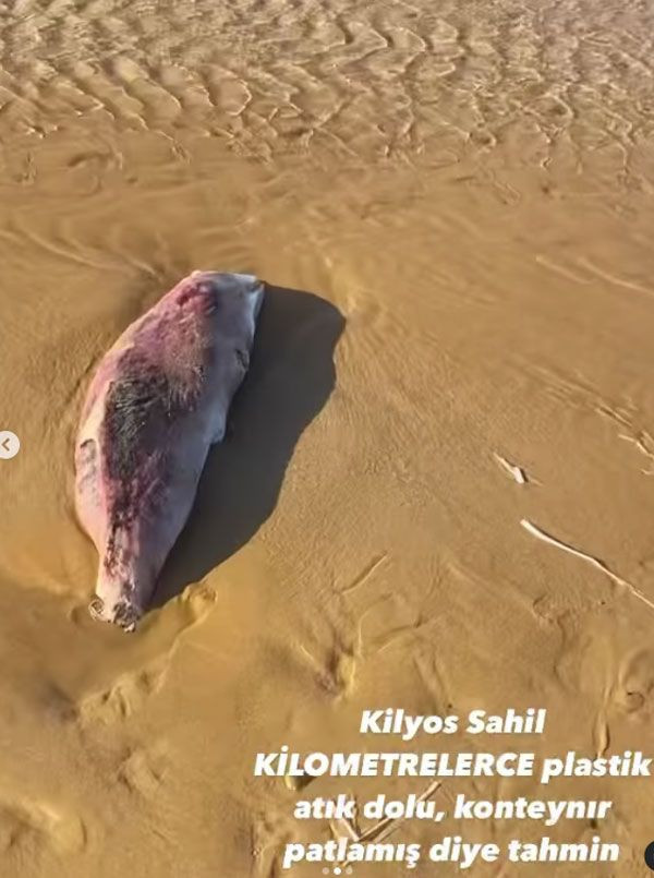 Yasemin Kay Allen o görüntüleri görünce çılgına döndü! Herkese ateş püskürdü - Resim: 4