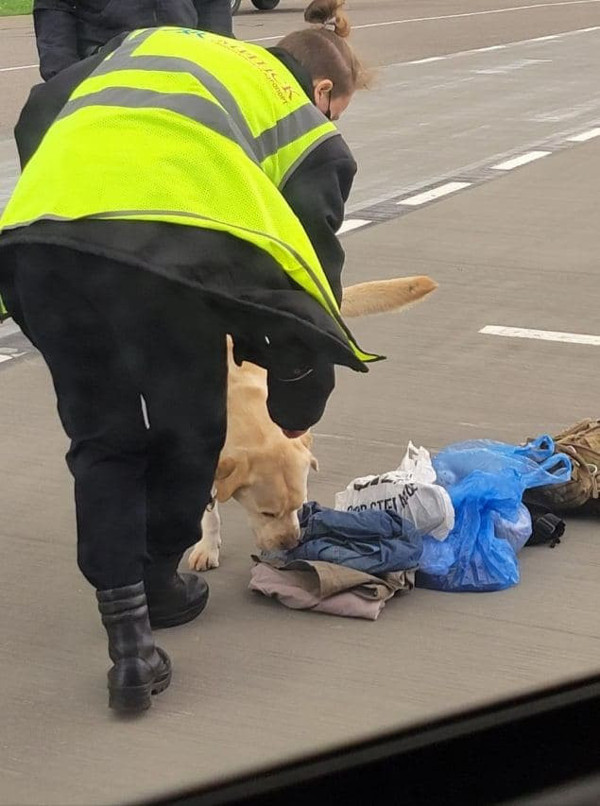 Bomba ihbarı yapılıp zorla indirildi! Belaruslu gazeteciye büyük şok - Resim: 1