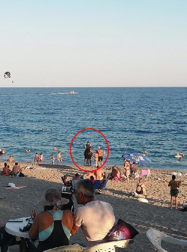 Antalya'da şaşkına çeviren görüntü! Kovboy şapkasıyla atına binip bakın ne yaptı - Resim: 0
