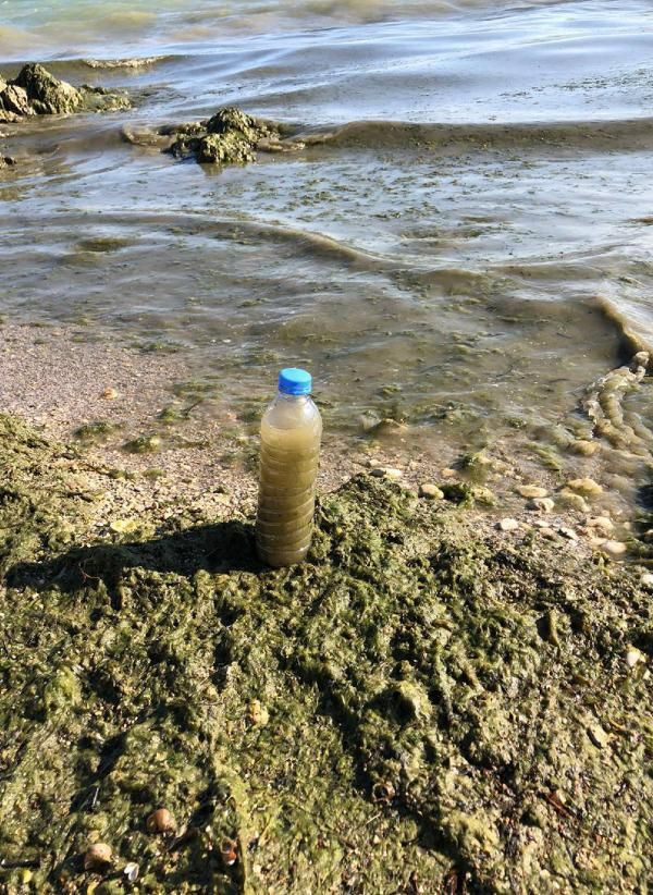 Isparta'da insanlık dışı manzara! Parmağınızı dahi sokmayın, çok üzücü - Resim: 2