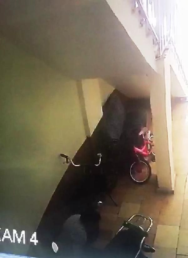 Samsun'dan iğrenç haber! Apartmana girip tuvaletini yaptı - Resim: 4