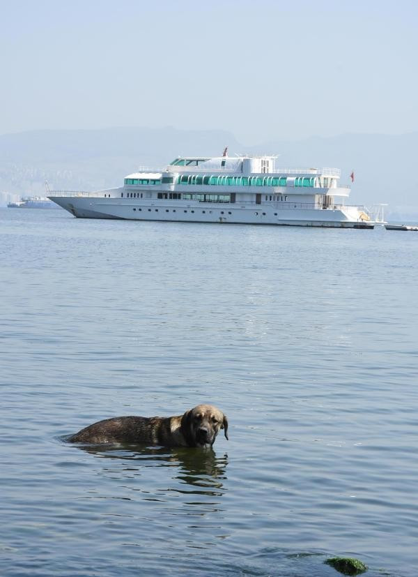 İzmir'in aşırı sıcaklarla imtihanı! Yolun ortasında soyundular - Resim: 4