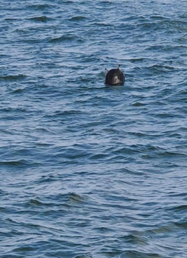 Samsun'da serseri mayın alarmı! Sahile vurdu Rusya yapımı çıktı: Valilik açıklama yaptı - Resim: 1