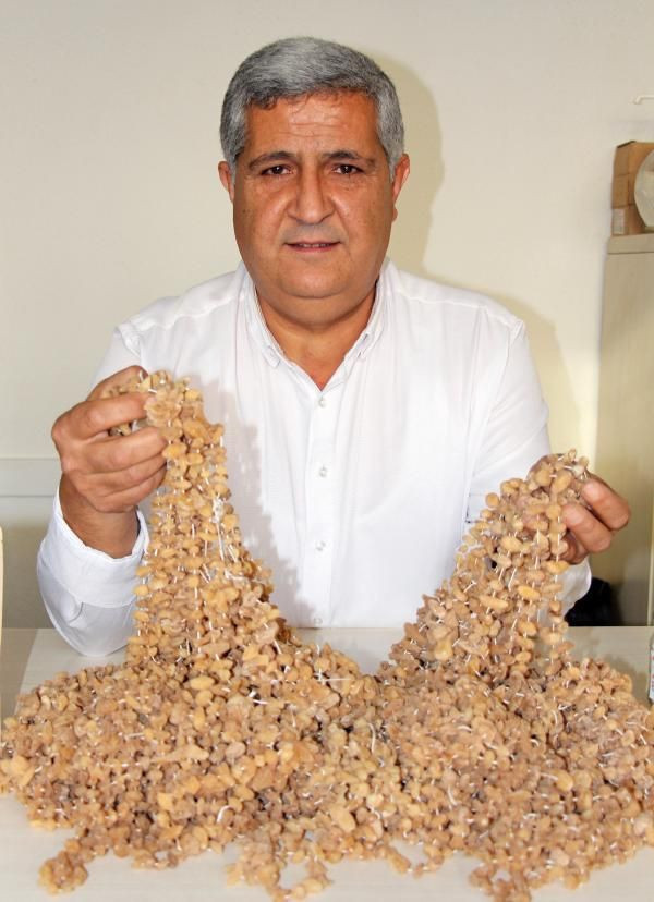 Kış aylarının vazgeçilmezi! Salebin bardağı 15 kilosu 1500 lira - Resim: 4