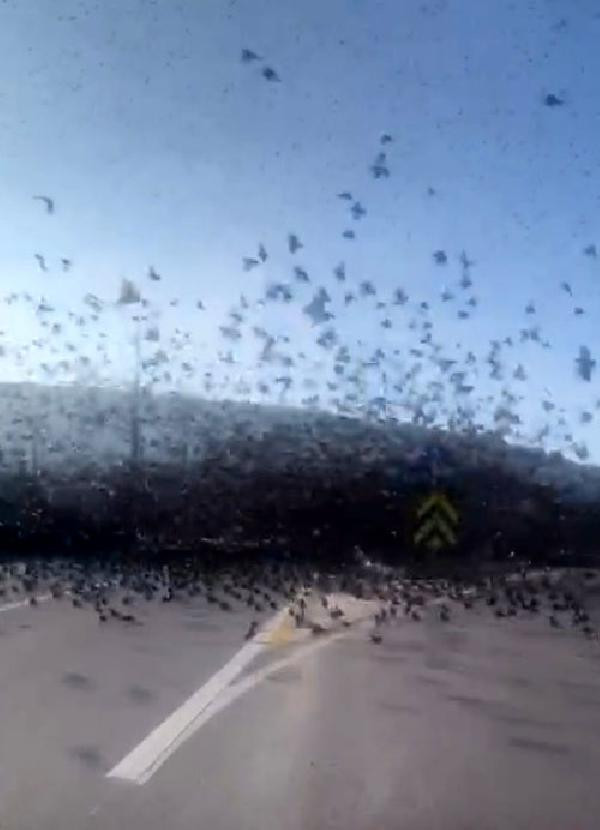 Şaşkına çeviren manzara: Gökyüzünde dans! - Resim: 3