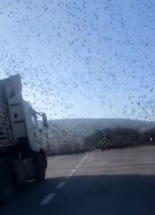 Şaşkına çeviren manzara: Gökyüzünde dans! - Resim: 4