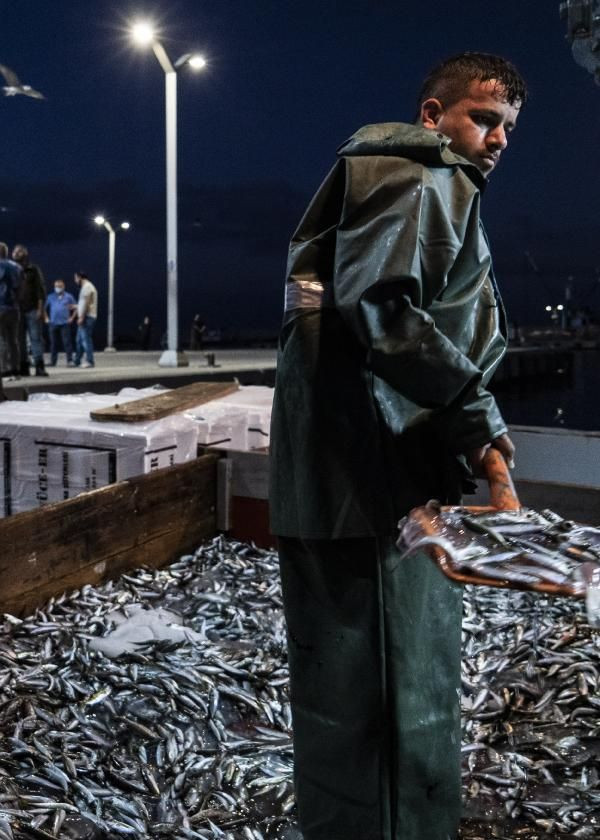 Vira Bismillah! Balıkçıların gözdesi palamut mezatta 10 liradan alıcı buldu - Resim: 4