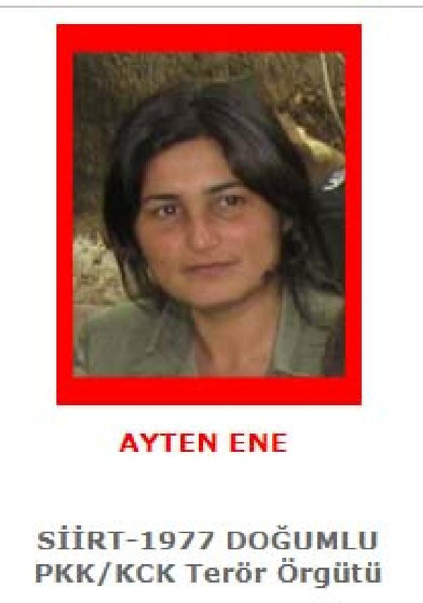 Tunceli'de MİT ve jandarmadan ortak operasyon! 2 terörist etkisiz hale getirildi - Resim: 1