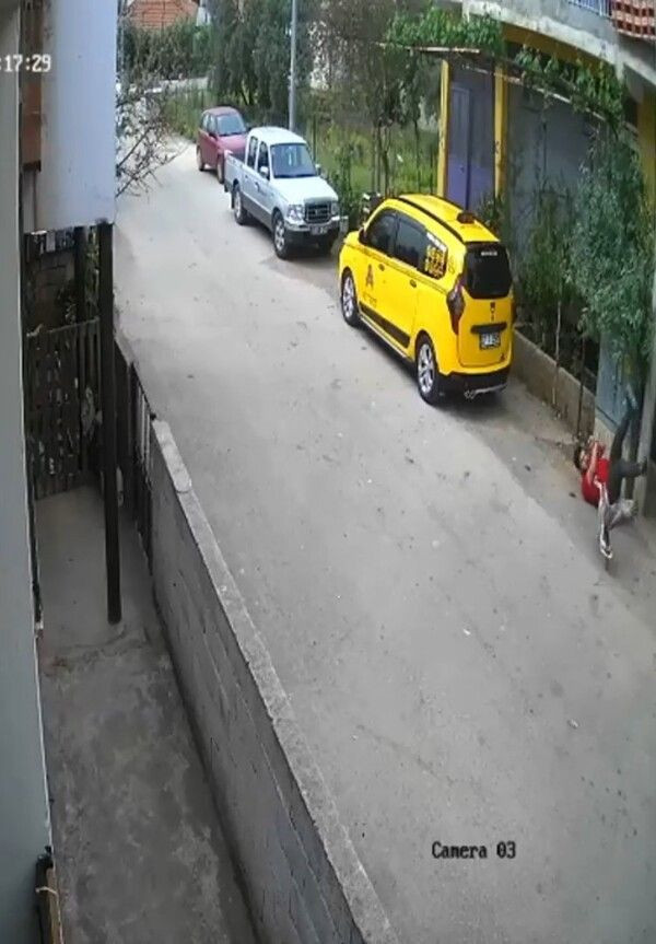 Antalya'da 'hayatım gözümün önünden geçti' deyip anlattı: Köpek yerine 3 bin TL'ye bunu alın - Resim: 2