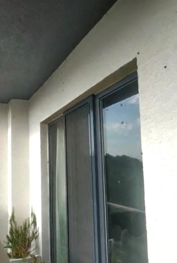 Alerji yapıyor! İstanbul'da 'kokarca böceği' kabusu her yeri sardı - Resim: 3