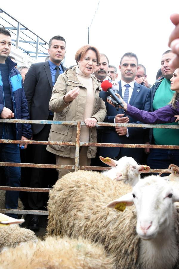 Akşener söz verdi: Bakan seçerken size soracağım - Resim: 3