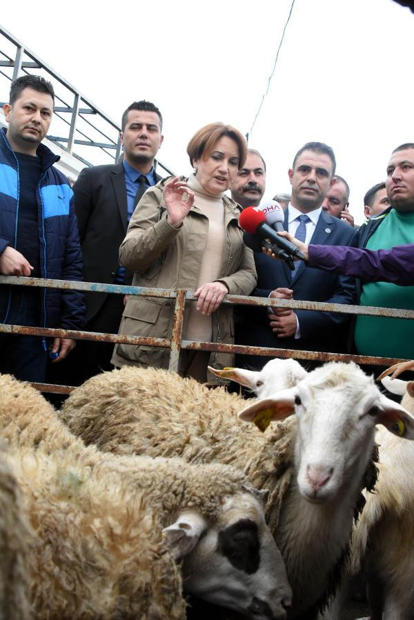 Akşener söz verdi: Bakan seçerken size soracağım - Resim: 4