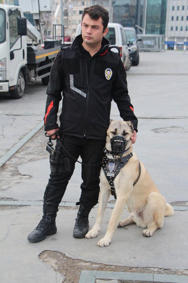 Bu bir ilk! Yılbaşında Kangal ve Akbaş sahaya iniyor - Resim: 1