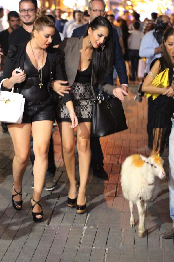 En iyi fotoğralarla 2013 - Resim: 1