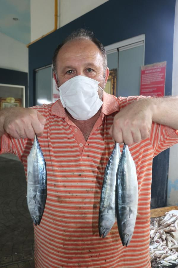 Balık yasağı kalktı tezgahlar palamutla doldu fiyatlar yine de pahalı - Resim: 4