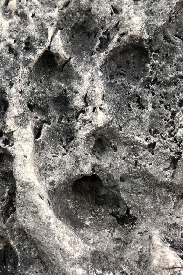 Antalya'da sular çekilince ortaya çıkanlar görenleri şaşkına çevirdi - Resim: 3