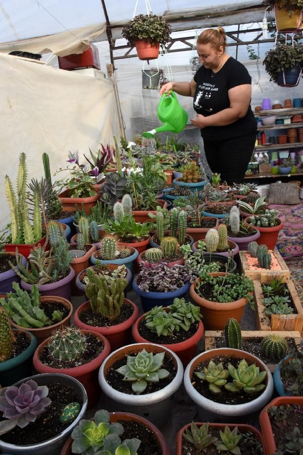 Antalya'da pandemiyi fırsata çevirdi! Hobi olarak başladı işi oldu - Resim: 2