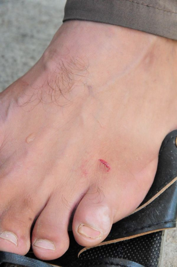 Adana'da pirana balığı baraj gölünde dehşet saçtı - Resim: 1