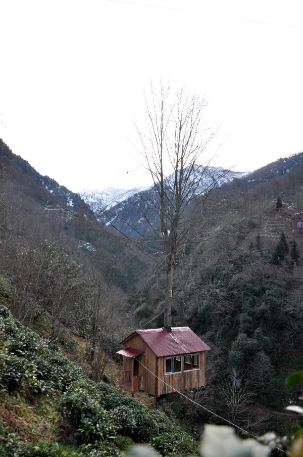 Ağacın gövdesine ev yaptı görenler hayran kaldı - Resim: 3