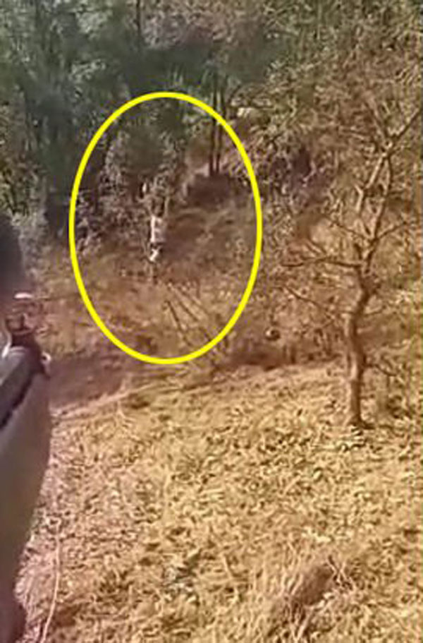 Çıplak terörist! Mehmetçiğe böyle teslim oldu! - Resim: 1