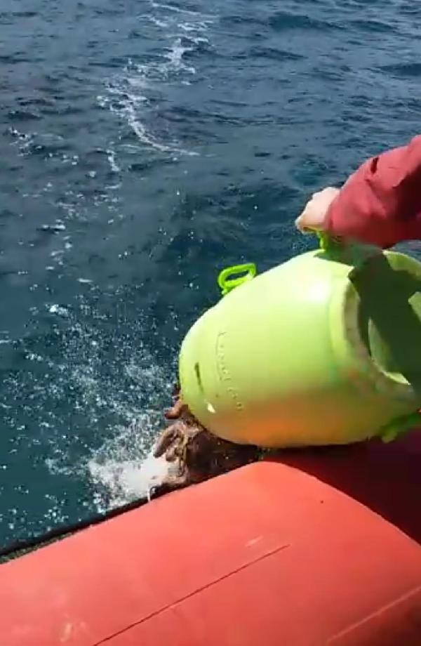 Denizde 'patlıcan' operasyonu! - Resim: 2