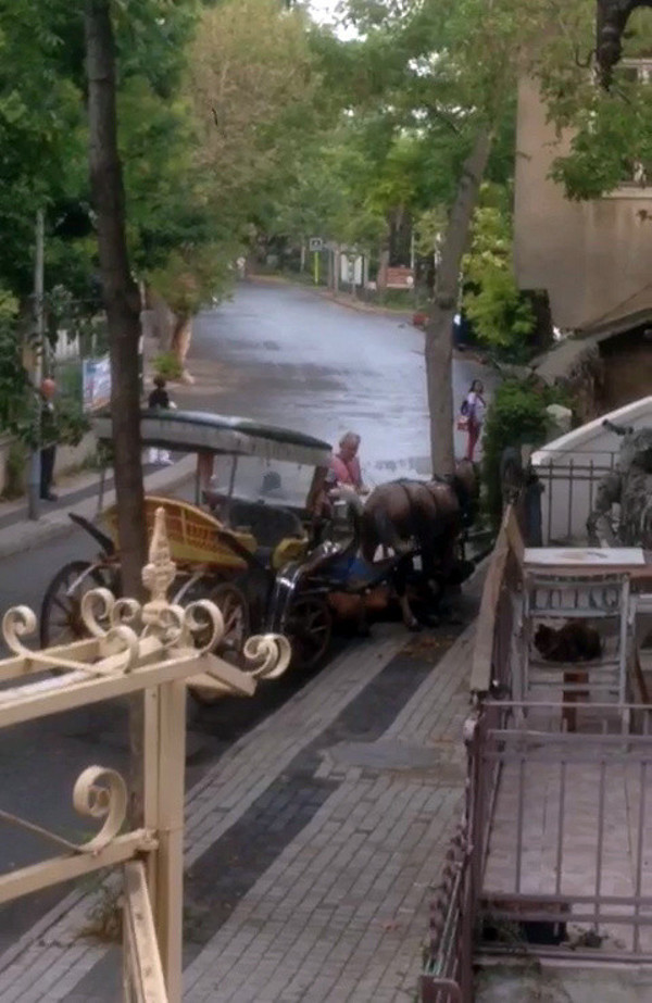 Büyükada'da fayton acımasızlığı devam ediyor! - Resim: 0