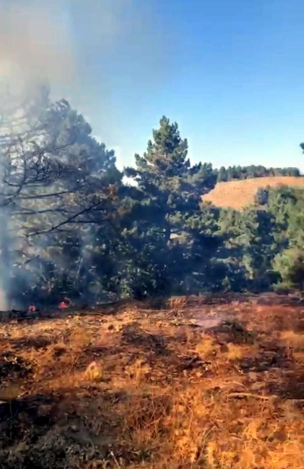İzmir'de korku dolu dakikalar! Otluktaki yangın ormana sıçradı - Resim: 0