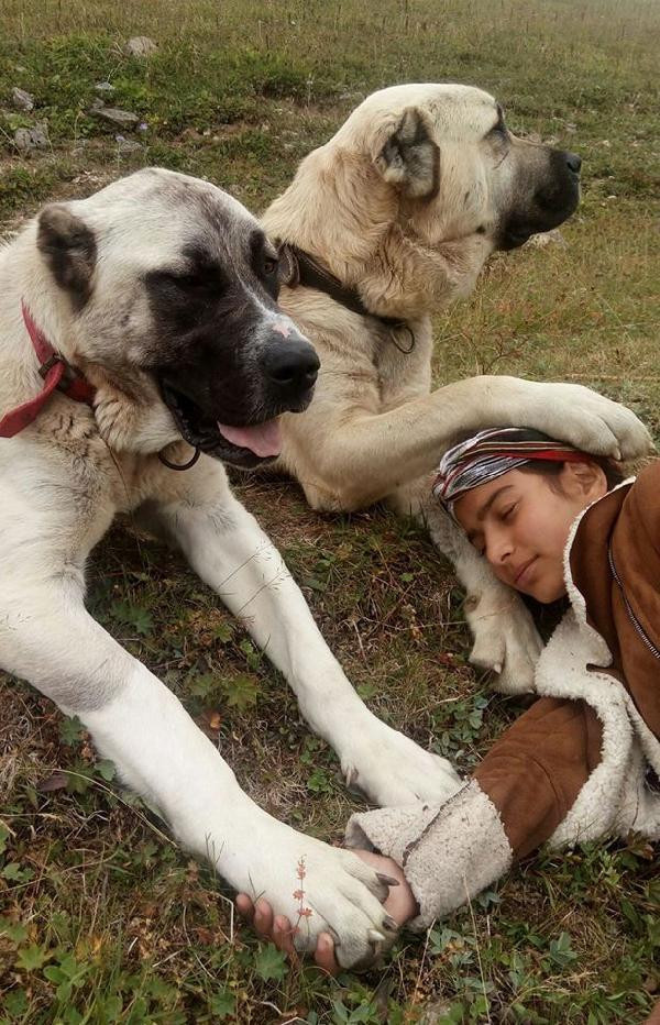Paylaşımıyla fenomen olmuştu yeni fotoğraflarına bakın - Resim: 3