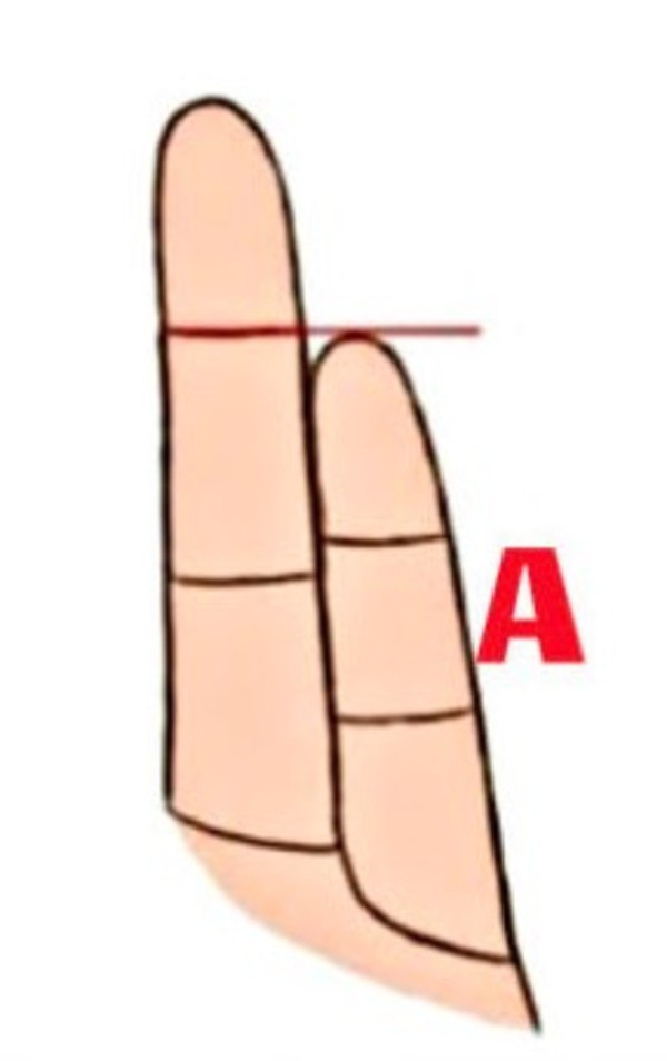 Serçe parmağına göre karakter analizi bilim açıkladı! - Resim: 2