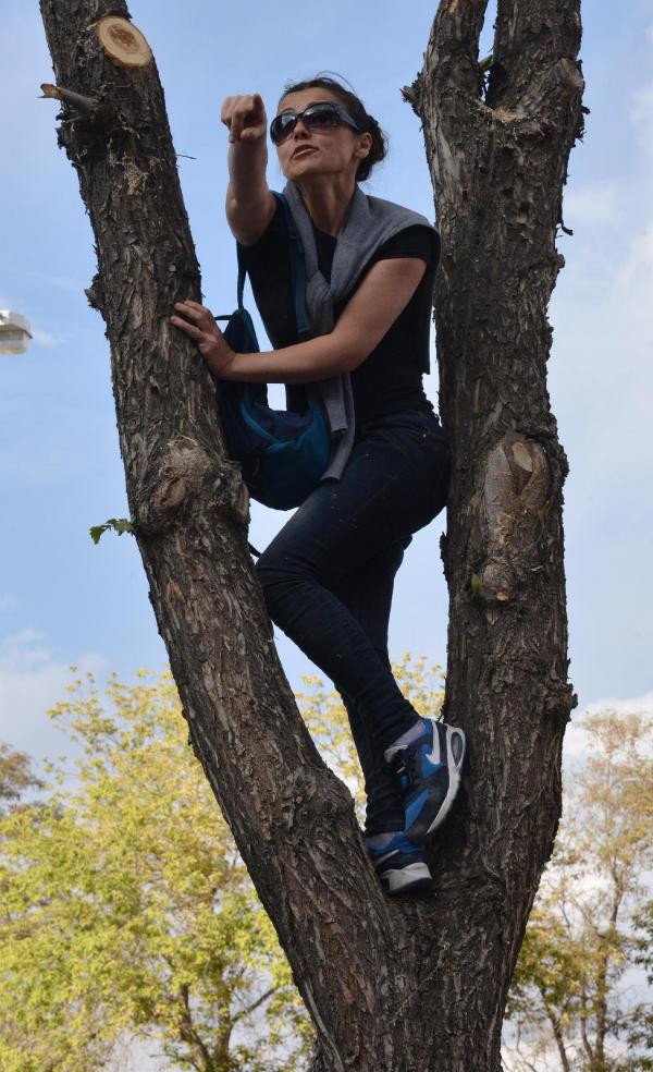 Derdini anlatmak için ağaca çıkmıştı! Erdoğan'la görüşen kadın muradına erdi - Resim: 2