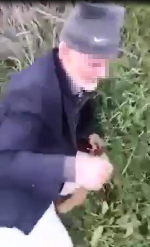 Köpeğe tecavüz eden dedenin akıbeti belli oldu! - Resim: 4