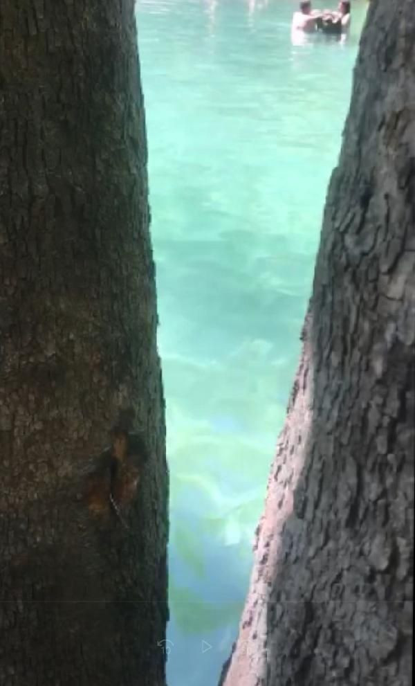 Feci olay! Antalya'da doğal havuza atlayan kişi ölümden döndü - Resim: 4