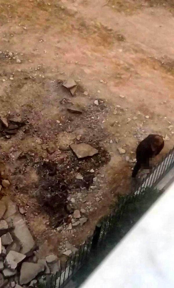 Sapığın cüretine bak! Kız yurdunun önünde iğrenç olay! - Resim: 3