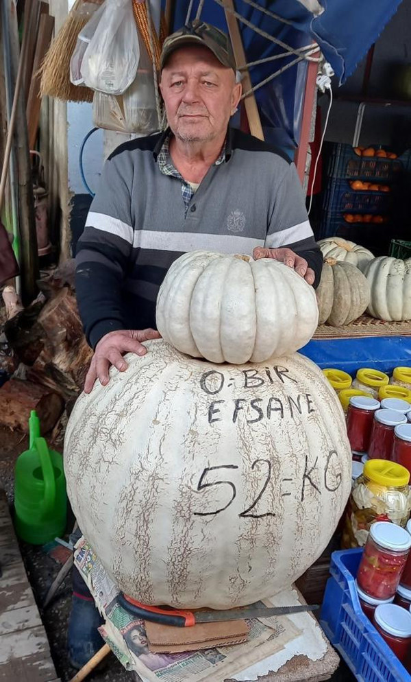 Bursa'da görenler inanamadı! 52 kiloluk ağırlığında: İki kişi zor kaldırıyoruz - Resim: 0