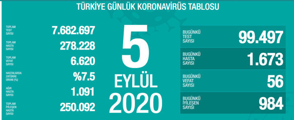 Türkiye'deki corona virüsü vaka ve ölü sayısında son durum (5 Eylül 2020) - Resim: 0