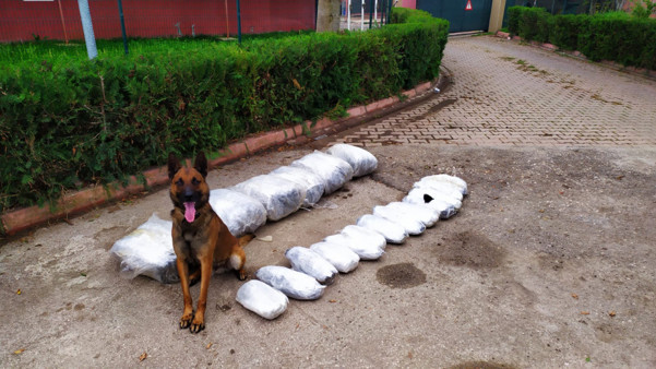 Adana'da narkotik köpeği 'Oscar' iş başında - Resim: 0