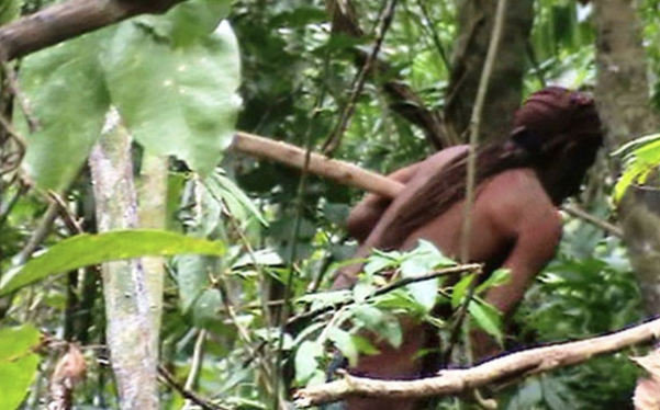 Bu halde görüntülendi! Ormanda çırılçıplak... - Resim: 2