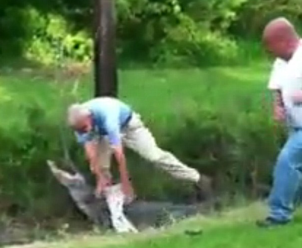 Tam timsaha yem oluyordu ki... - Resim: 1