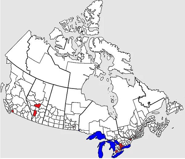 Türkiye'nin yarısı siyah bölgelerde - Resim: 2