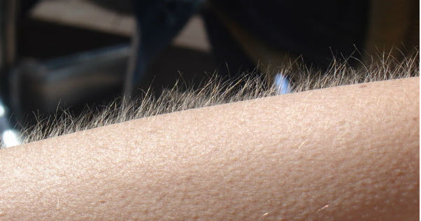 Sonbaharın gelmiş olduğunu hatırlatan doğa olayları - Resim: 1