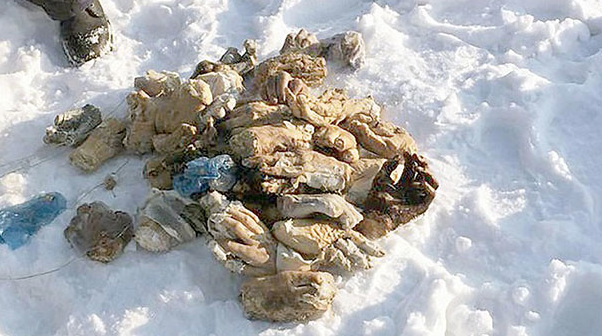 Bir çuval dolusu kesik el bulundu görüntüler korkunç! Açıklanamıyor - Resim: 4