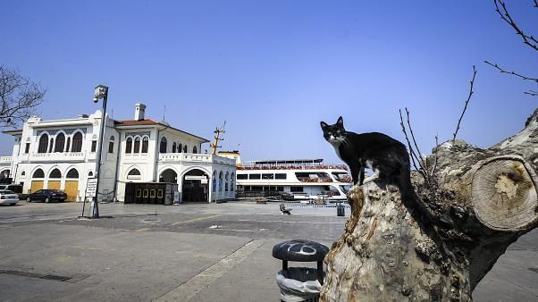 Sokağa çıkma yasağı başlıyor! İşte bu akşam saat 20:00'de başlayacak yasaklar... - Resim: 2