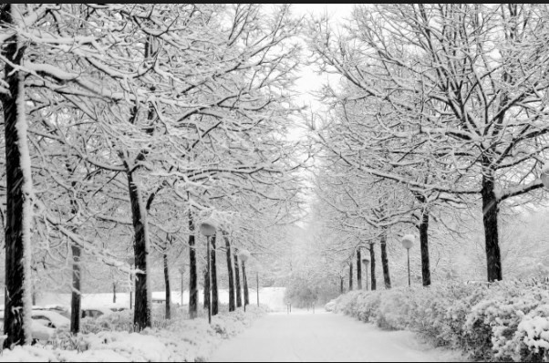 Bu  illerde okullara kar tatili var! 15 aralık kar tatili - Resim: 3