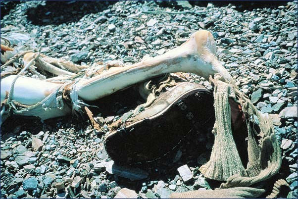 Everest  sonları oldu! Zirveye değil ölüme giden dağcılar - Resim: 3