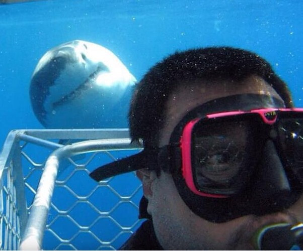 Fotoğraf çekiliyordu arkasında olan tehlikeye bakın - Resim: 4