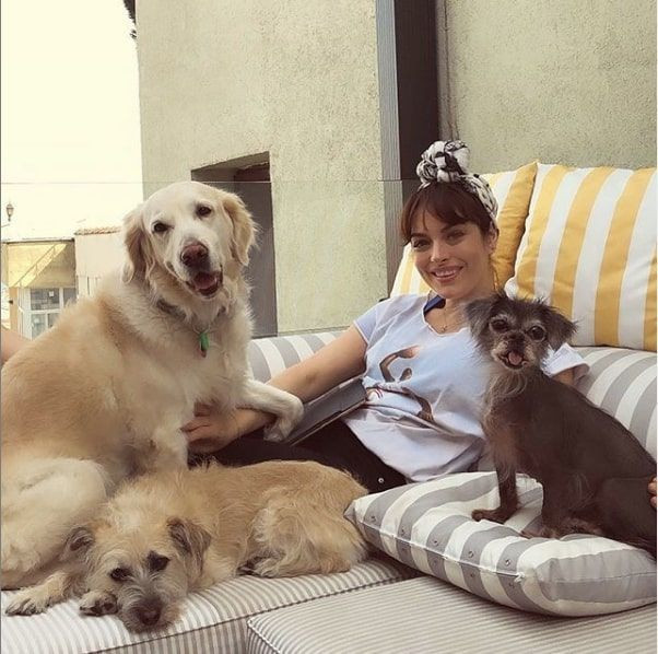 Ezgi Mola şiddet gören öldürülen tüm canlar için açtı ağzını yumdu gözünü - Resim: 4