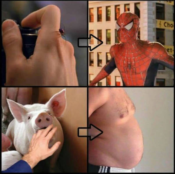 Günün en ilginç fotoğrafları - Resim: 1