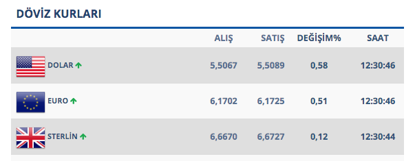 9 ağustos bugün dolar euro