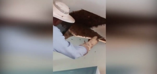 6 ay boyunca evinde aynı sesleri duydu! Gerçek ise şoke olacaksınız - Resim: 2